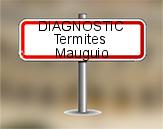 Diagnostic Termite ASE  à Mauguio